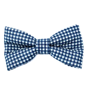 Blue Gingham Bow Tie