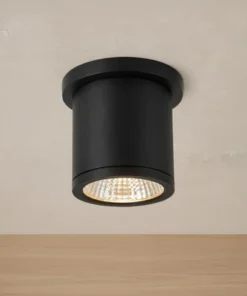 Ceiling Mount